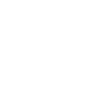 Flexible Incentive Program